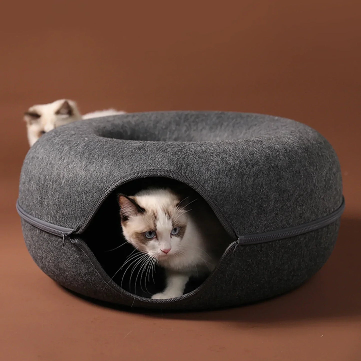 Cozy Felt Cat Haven
